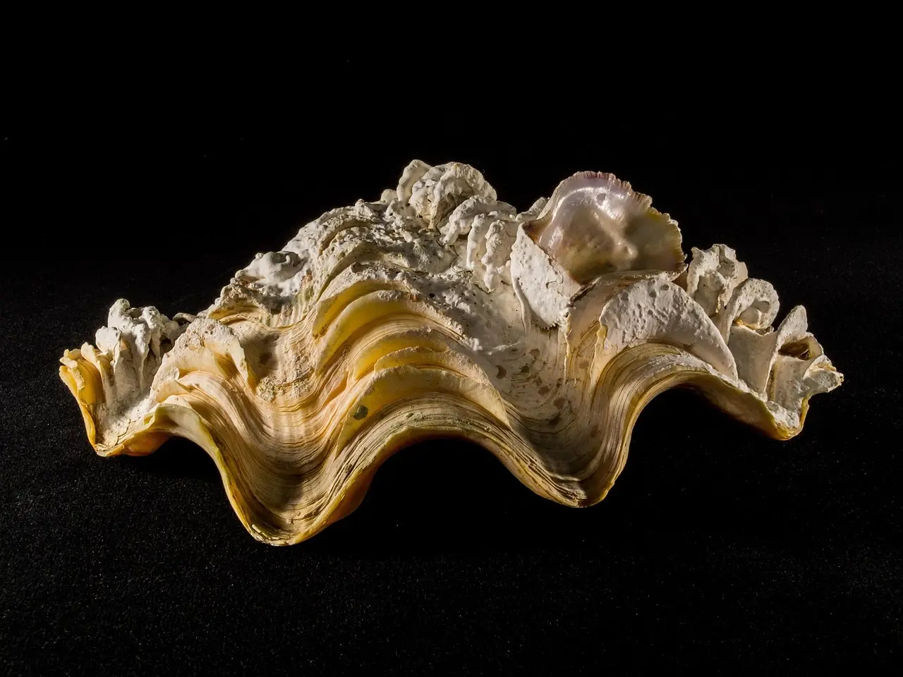 Farvel til kalk: Sådan får du badeværelset skinnende rent