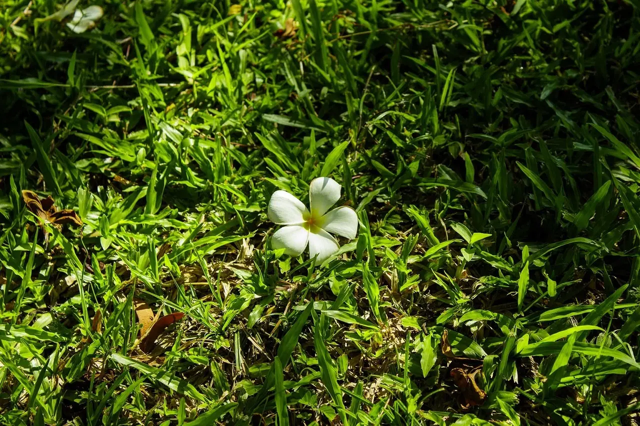 Mix & match: kombiner arvestykker med moderne design uden stilkollision